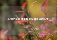 dnf血之洗礼,才能换来光鲜亮丽的人生?