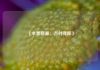 《水墨婺源：古村寻踪》