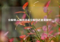 分解师,dnf搬砖装备分解好还是卖掉好?