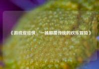  《游戏皮皮侠：一场颠覆传统的欢乐冒险》