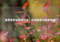 消费者权益保障热线：投诉渠道与法律依据