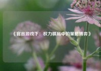 《官员游戏下：权力棋局中的策略博弈》
