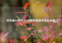 百宝箱dnf双开,DNF用虚拟机双开怎么设置?