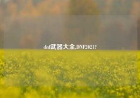 dnf武器大全,DNF2021?