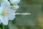 AR游戏双人互动新纪元