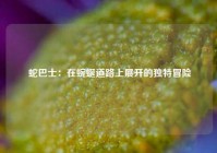  蛇巴士：在蜿蜒道路上展开的独特冒险