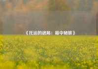 《托运的谜局：箱中秘旅》