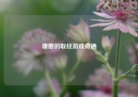 唐僧的取经游戏奇遇