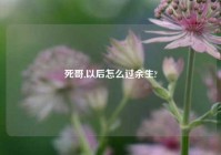 死哥,以后怎么过余生?