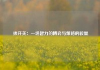  拔开关：一场智力的博弈与策略的较量