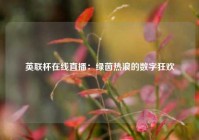 英联杯在线直播：绿茵热浪的数字狂欢