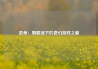 泉州：刺桐城下的奇幻游戏之旅