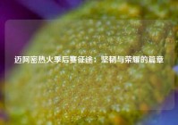 迈阿密热火季后赛征途：坚韧与荣耀的篇章