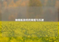 抽隔板游戏的策略与乐趣