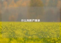 什么叫析产继承