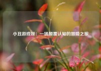 小丑游戏呀：一场颠覆认知的冒险之旅