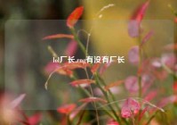 lol厂长,rng有没有厂长