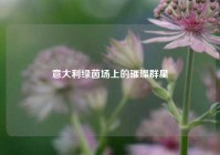 意大利绿茵场上的璀璨群星