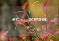 cf领奖,angelababy喜欢的韩国明星?