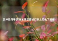 雷神岛箱子,海贼王艾尼路被打败之后去了哪里?
