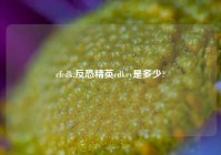 cfcdk,反恐精英cdkey是多少?