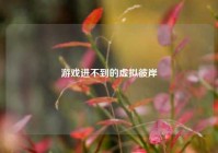 游戏进不到的虚拟彼岸