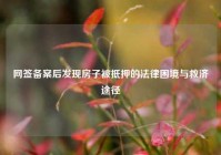 网签备案后发现房子被抵押的法律困境与救济途径