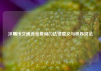 深圳市交通违章查询的法律意义与程序规范