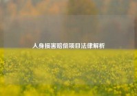 人身损害赔偿项目法律解析