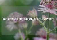 夏日礼包,河北邢台市信都区姐弟三人同时溺亡?