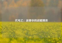  代号乙：迷雾中的战略博弈