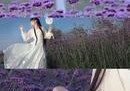 穿越火线百城联赛周赛