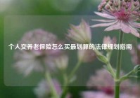 个人交养老保险怎么买最划算的法律规划指南
