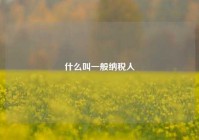 什么叫一般纳税人