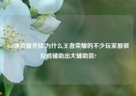 dnf体验服外挂,为什么王者荣耀的不少玩家都很反感辅助出大辅助装?