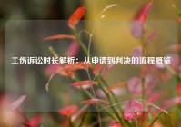 工伤诉讼时长解析：从申请到判决的流程概览