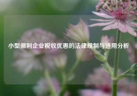 小型微利企业税收优惠的法律规制与适用分析