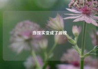  当现实变成了游戏