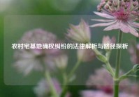 农村宅基地确权纠纷的法律解析与路径探析