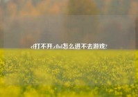 cf打不开,cfhd怎么进不去游戏?