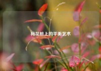 梅花桩上的平衡艺术