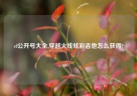 cf公开号大全,穿越火线炫彩吉他怎么获得?