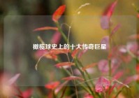 橄榄球史上的十大传奇巨星