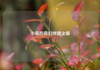 小菊的奇幻拼图之旅