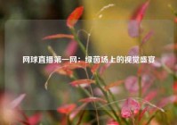 网球直播第一网：绿茵场上的视觉盛宴