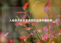 人身意外险年度保费的法律考量因素