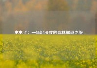 木木了：一场沉浸式的森林解谜之旅