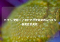 为什么cf更新不了,为什么我更新穿越火线系统就说更新失败?