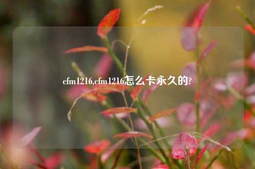 cfm1216,cfm1216怎么卡永久的?