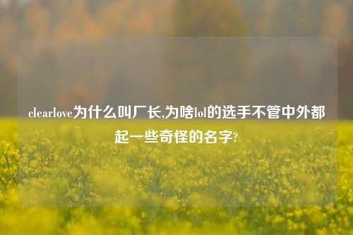 clearlove为什么叫厂长,为啥lol的选手不管中外都起一些奇怪的名字?